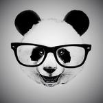 MightyPanda